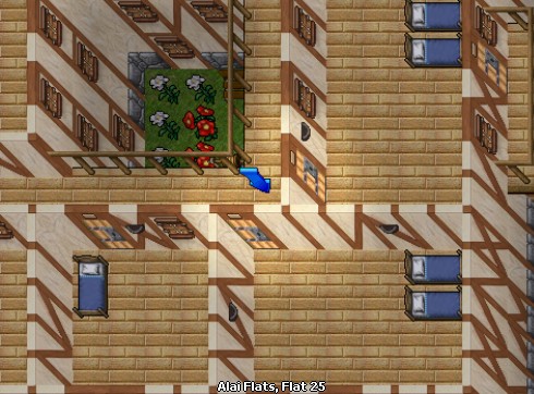 house image